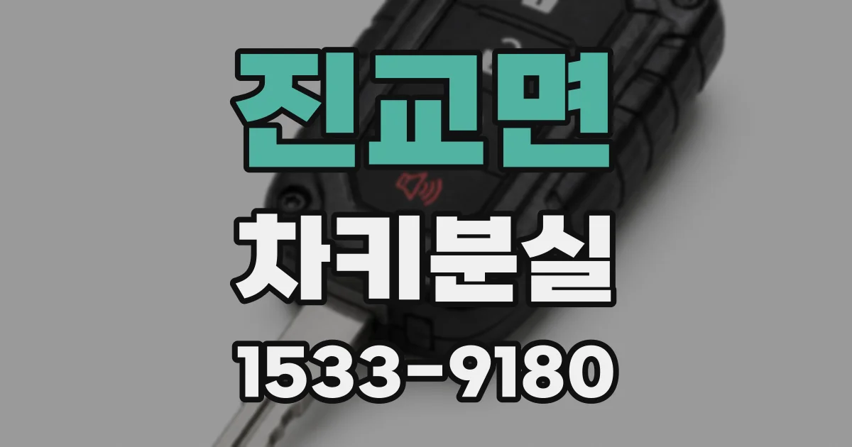 진교면 차키분실