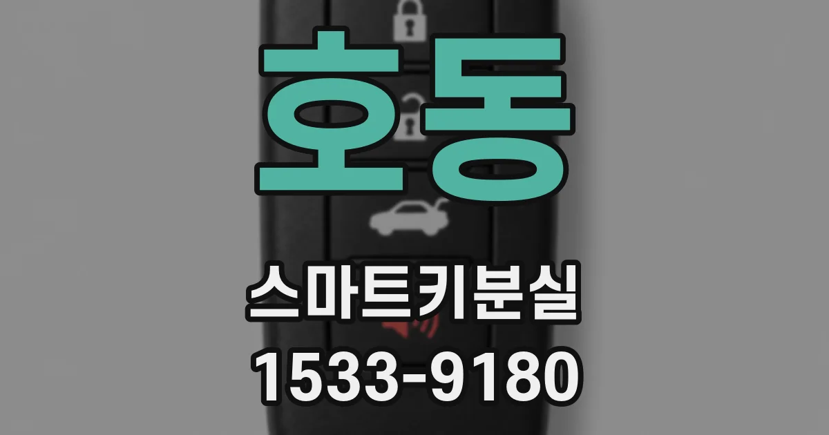 호동 스마트키분실