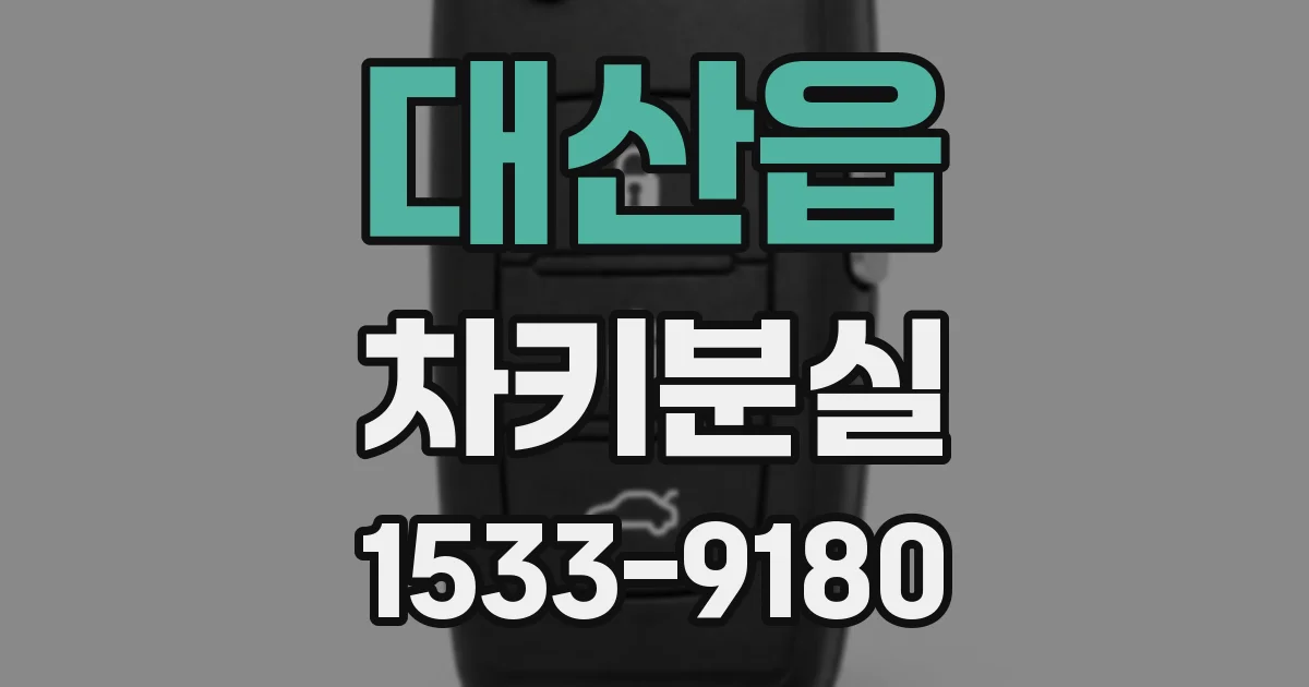 대산읍 차키분실