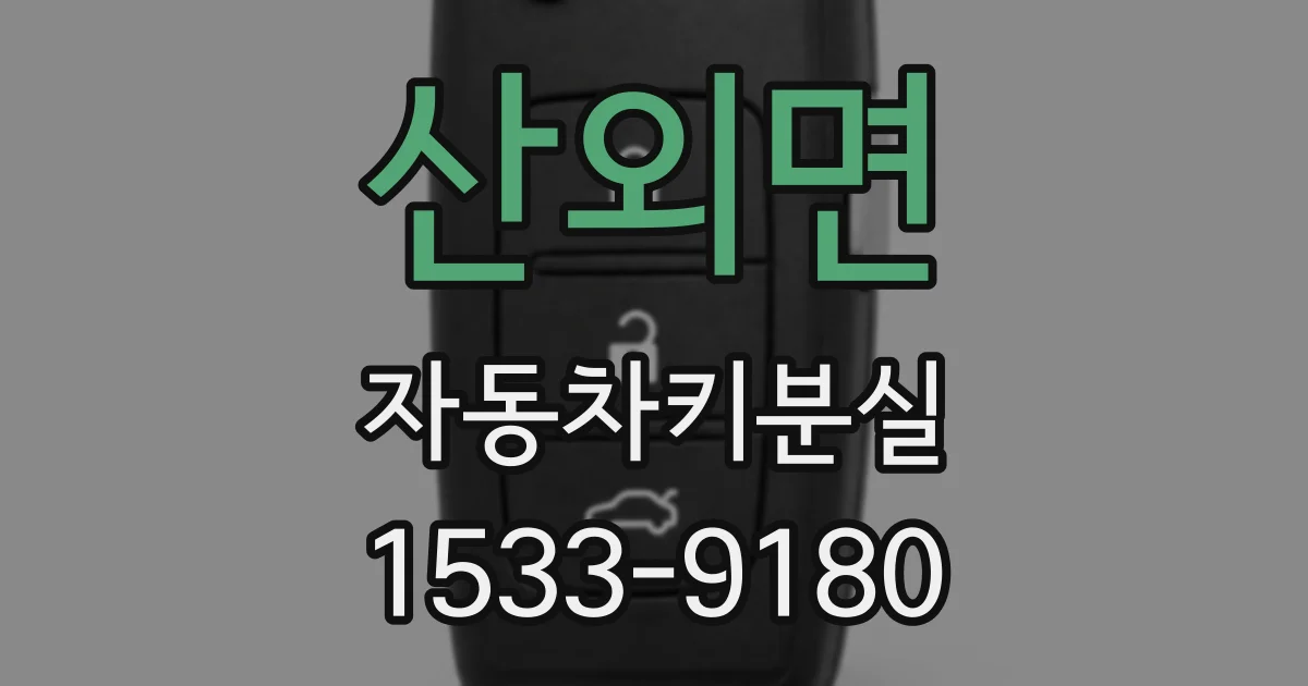 산외면 자동차키분실