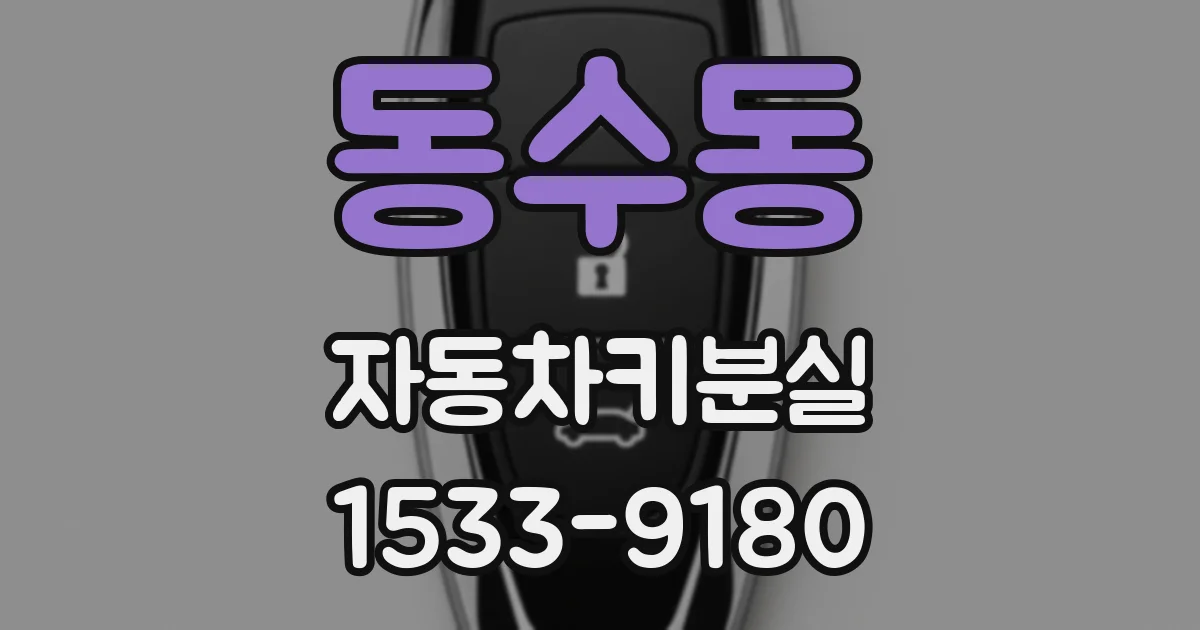 동수동 자동차키분실
