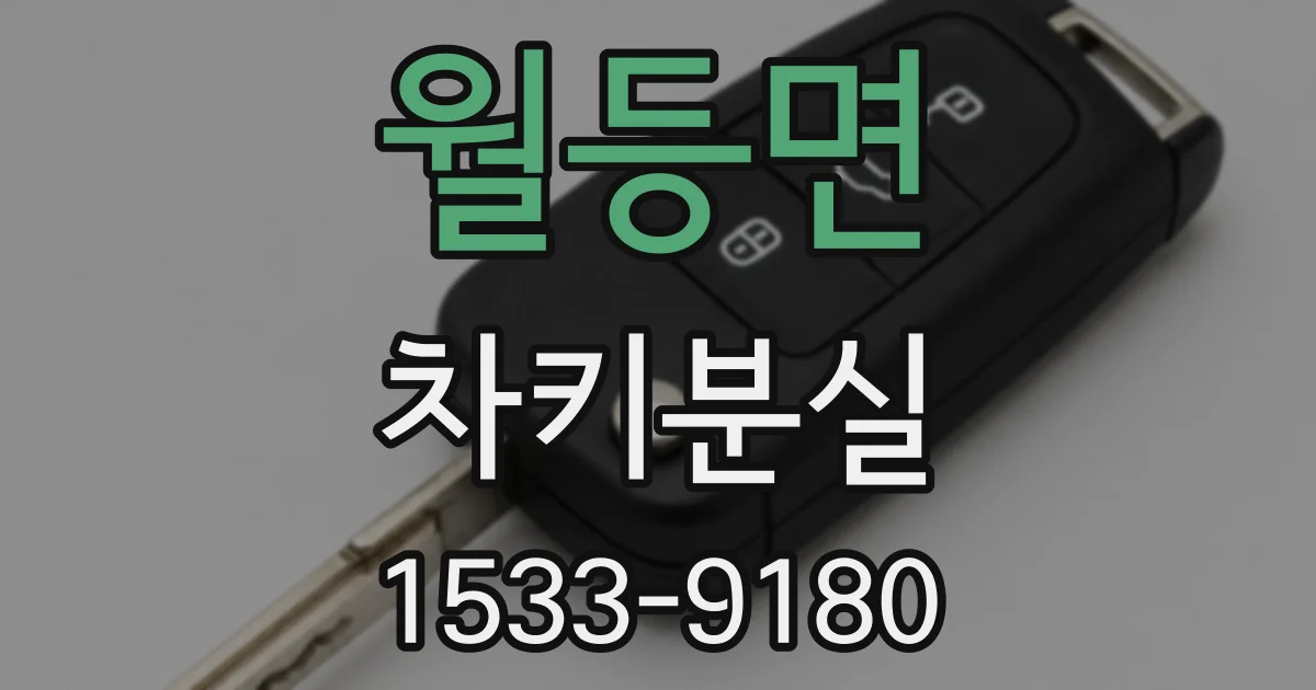 월등면 차키분실