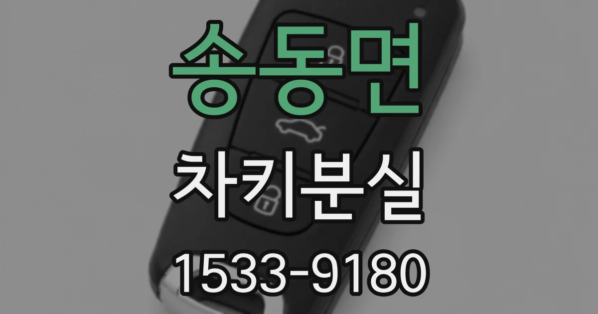 송동면 차키분실