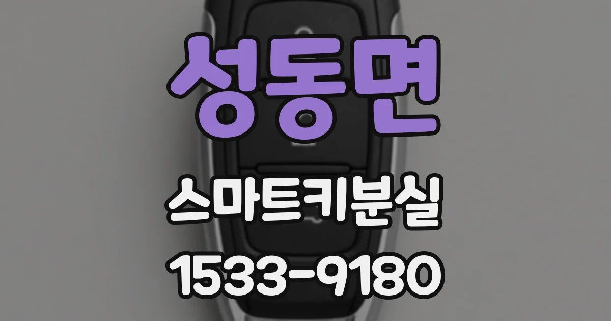 성동면 스마트키분실