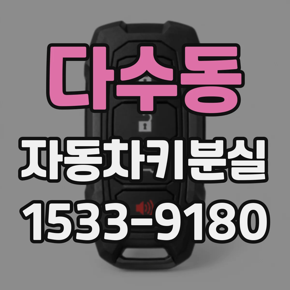 다수동 자동차키분실