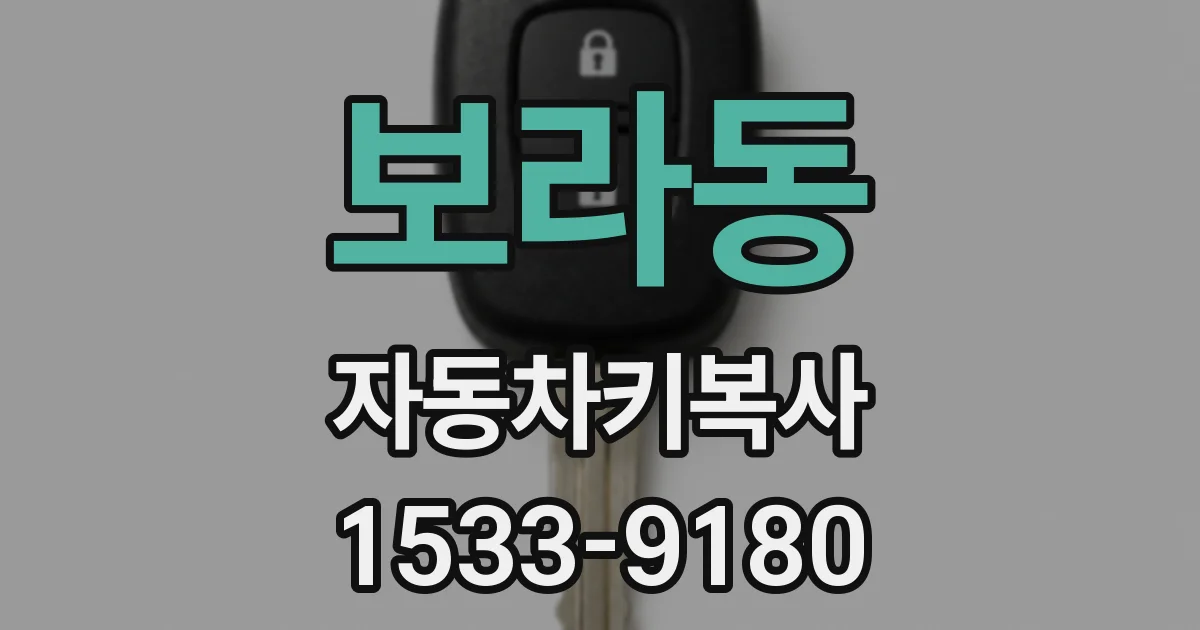 보라동 자동차키복사