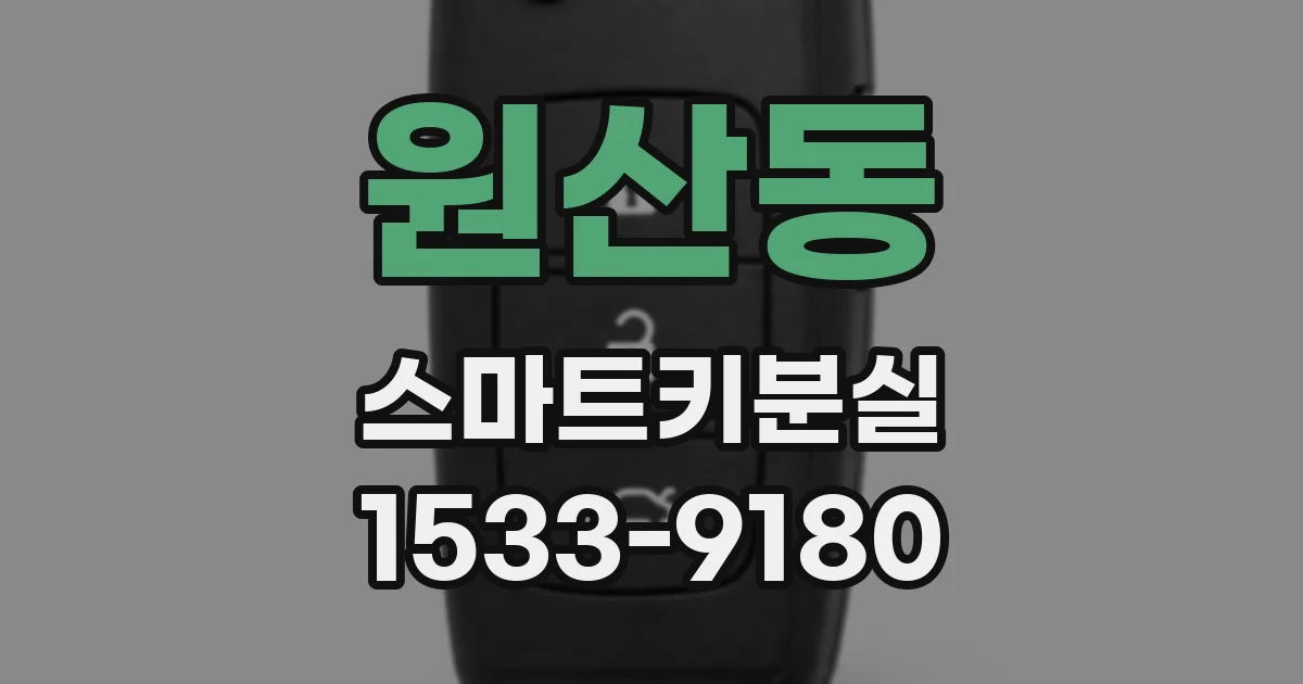 원산동 스마트키분실