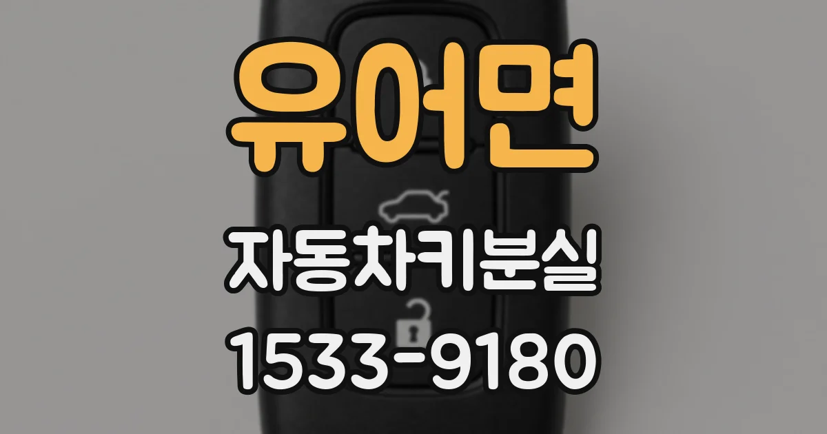 유어면 자동차키분실