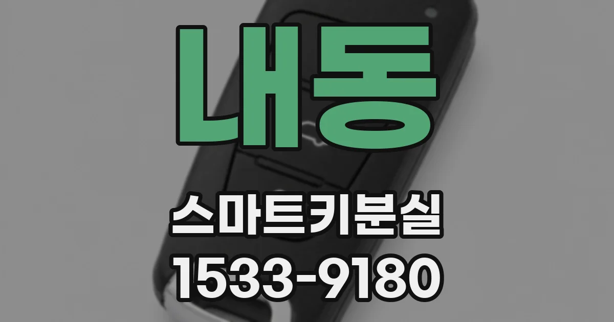 내동 스마트키분실