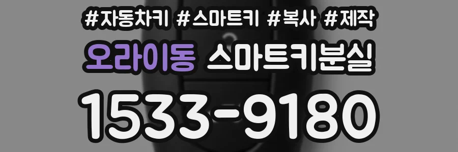 오라이동 스마트키분실