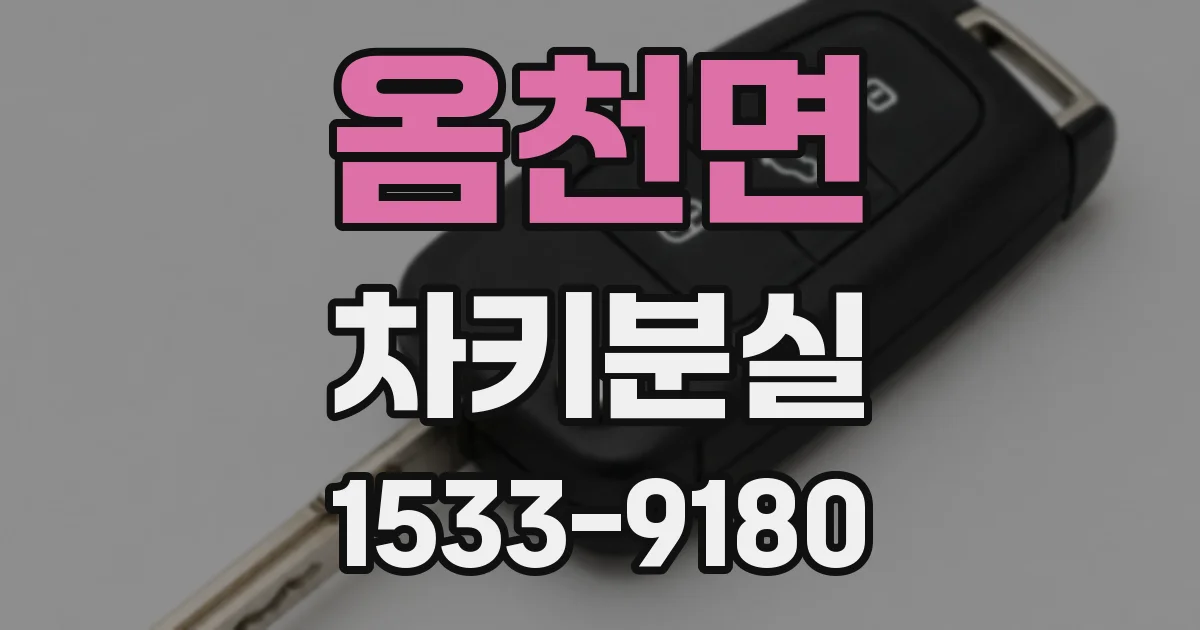 옴천면 차키분실