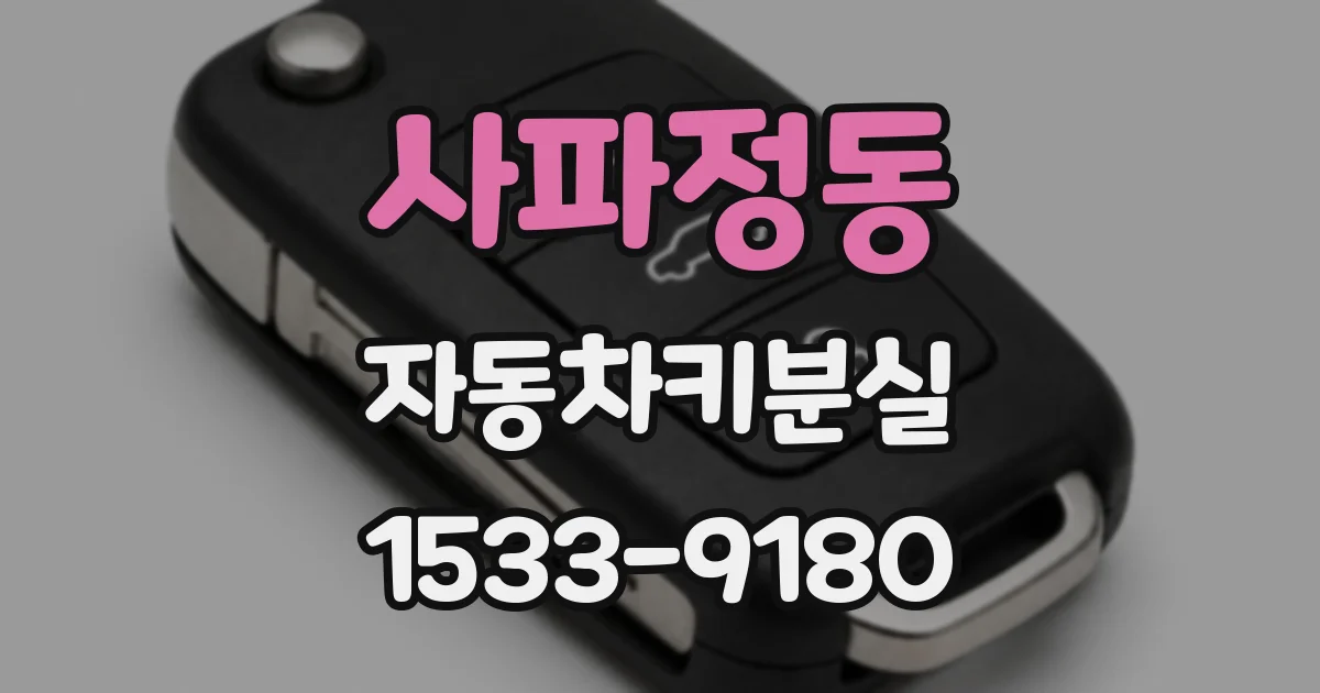 사파정동 자동차키분실