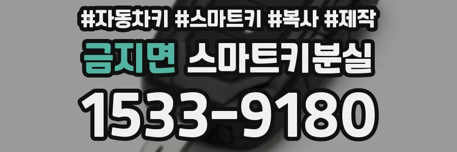 금지면 스마트키분실