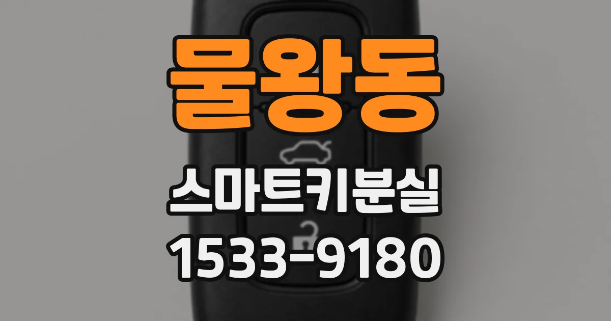 물왕동 스마트키분실