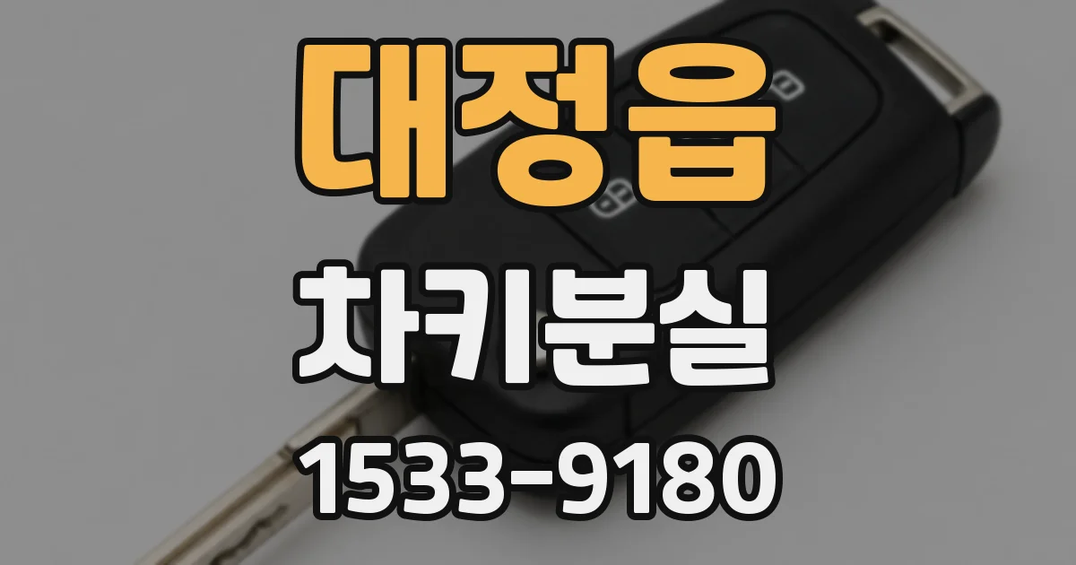 대정읍 차키분실