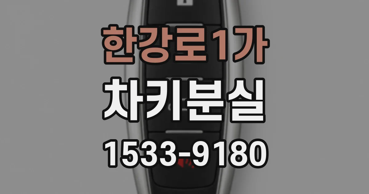 한강로1가 차키분실