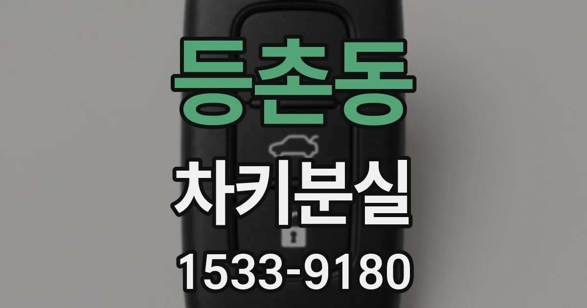 등촌동 차키분실