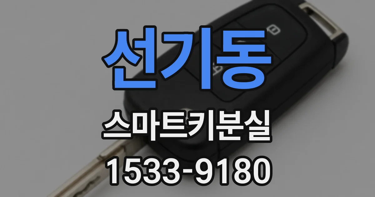 선기동 스마트키분실