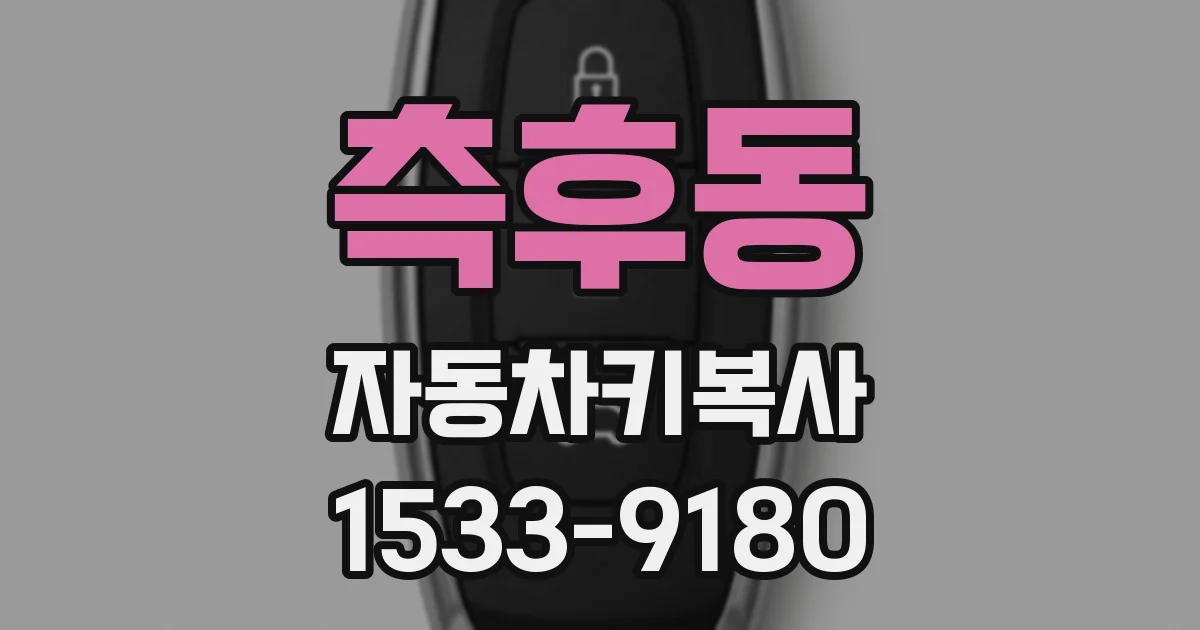 측후동 자동차키복사
