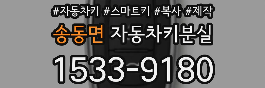 송동면 자동차키분실