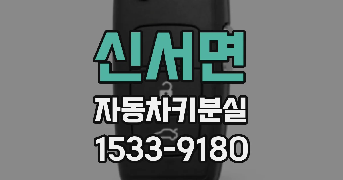 신서면 자동차키분실