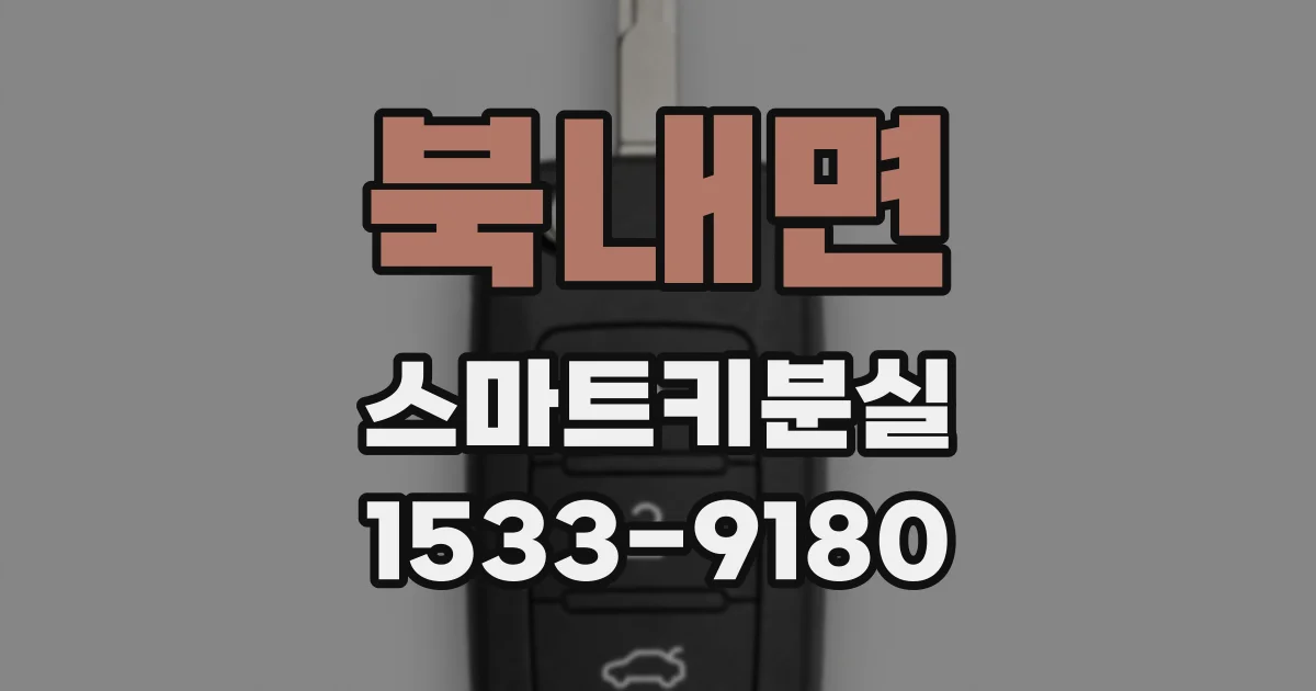 북내면 스마트키분실