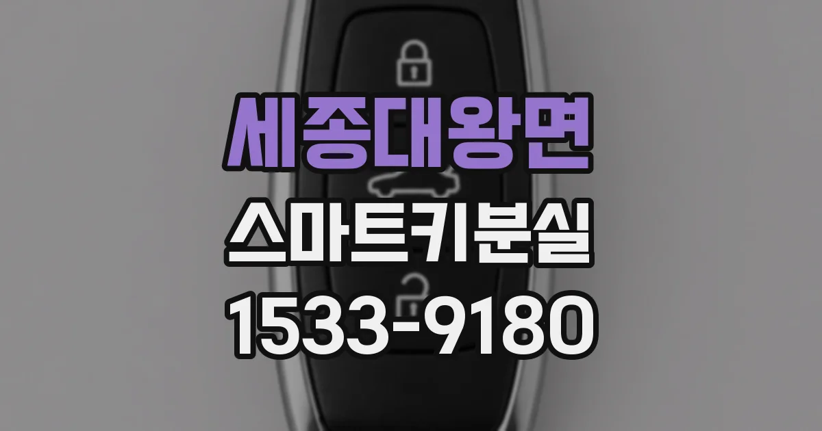 세종대왕면 스마트키분실