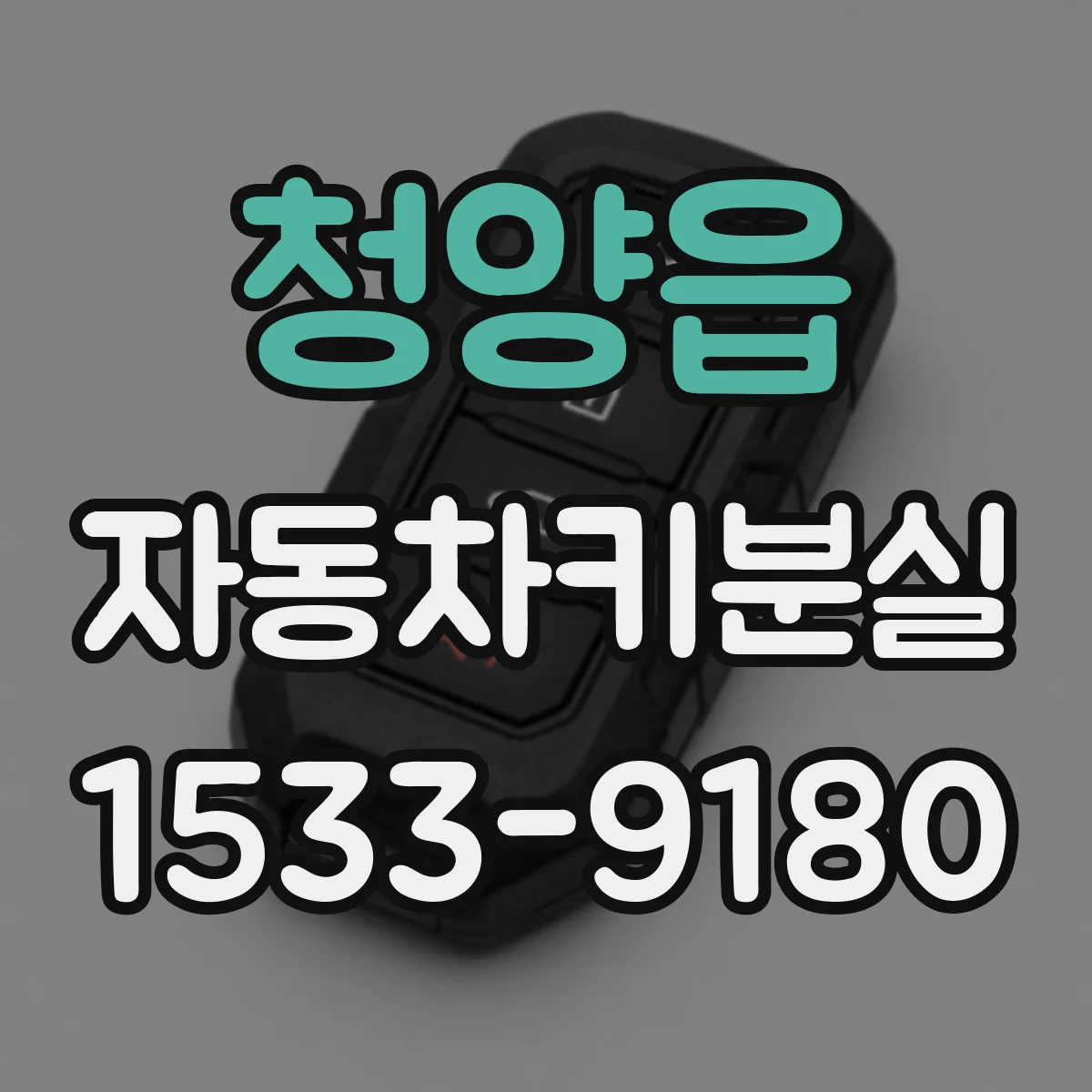 청양읍 자동차키분실