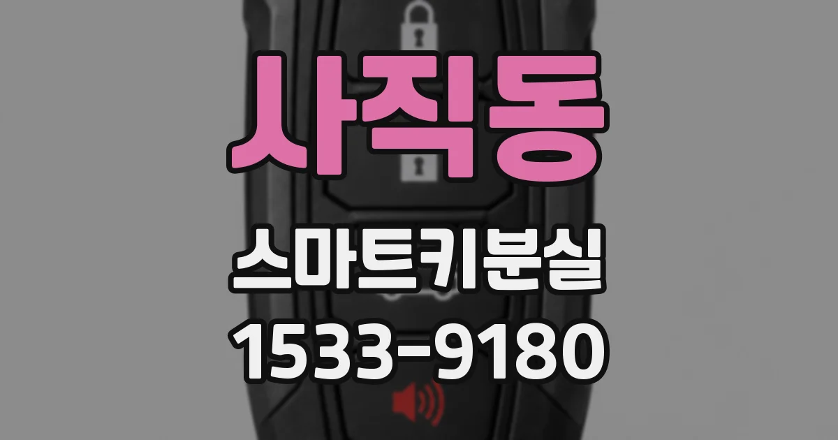 사직동 스마트키분실