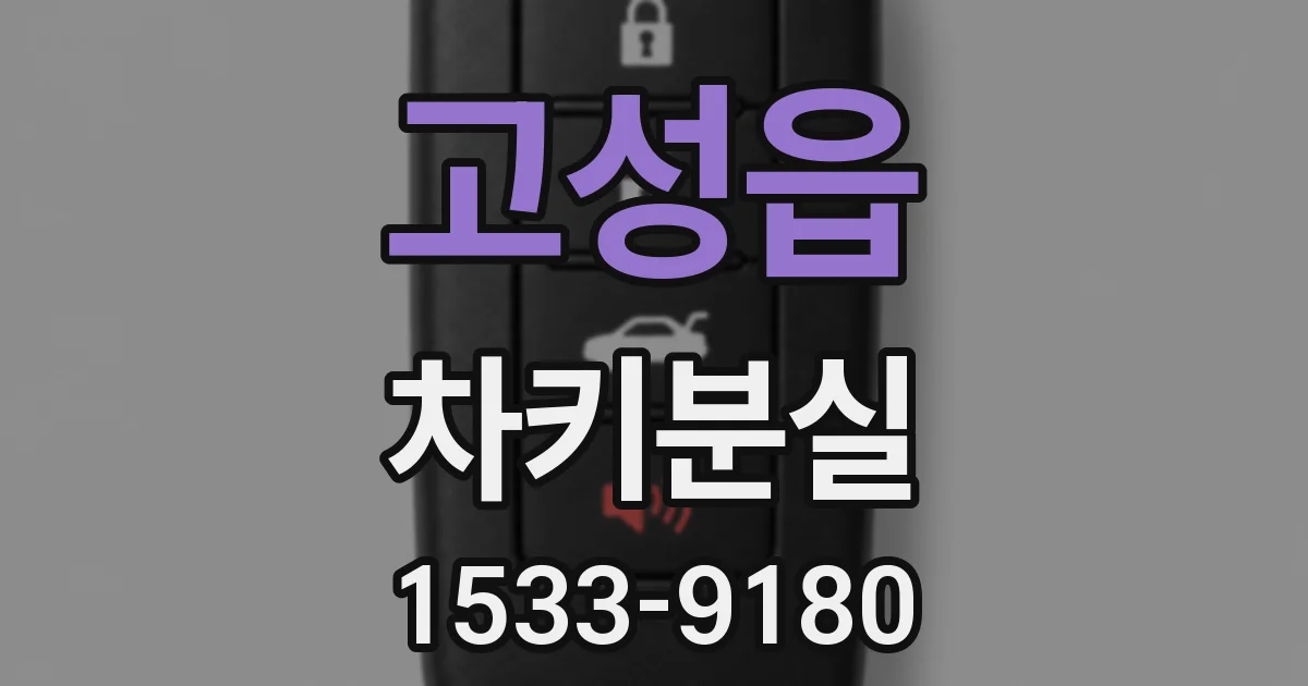 고성읍 차키분실