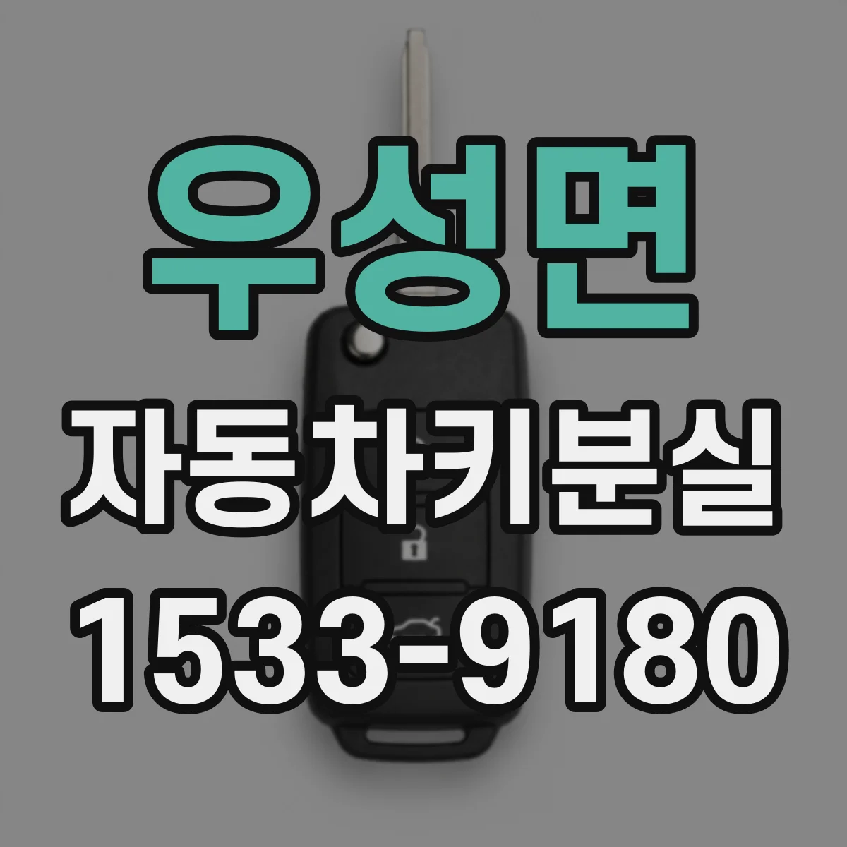 우성면 자동차키분실
