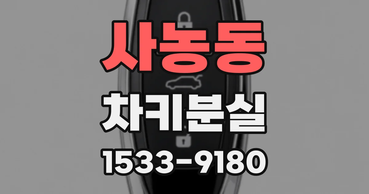 사농동 차키분실