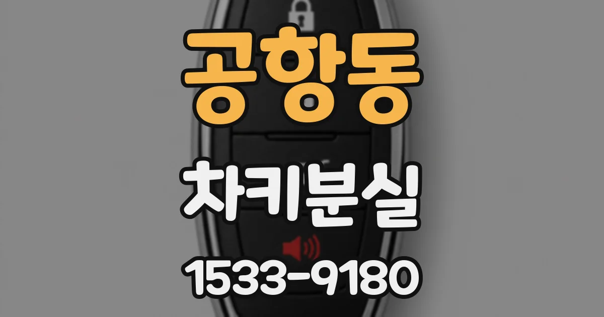 공항동 차키분실