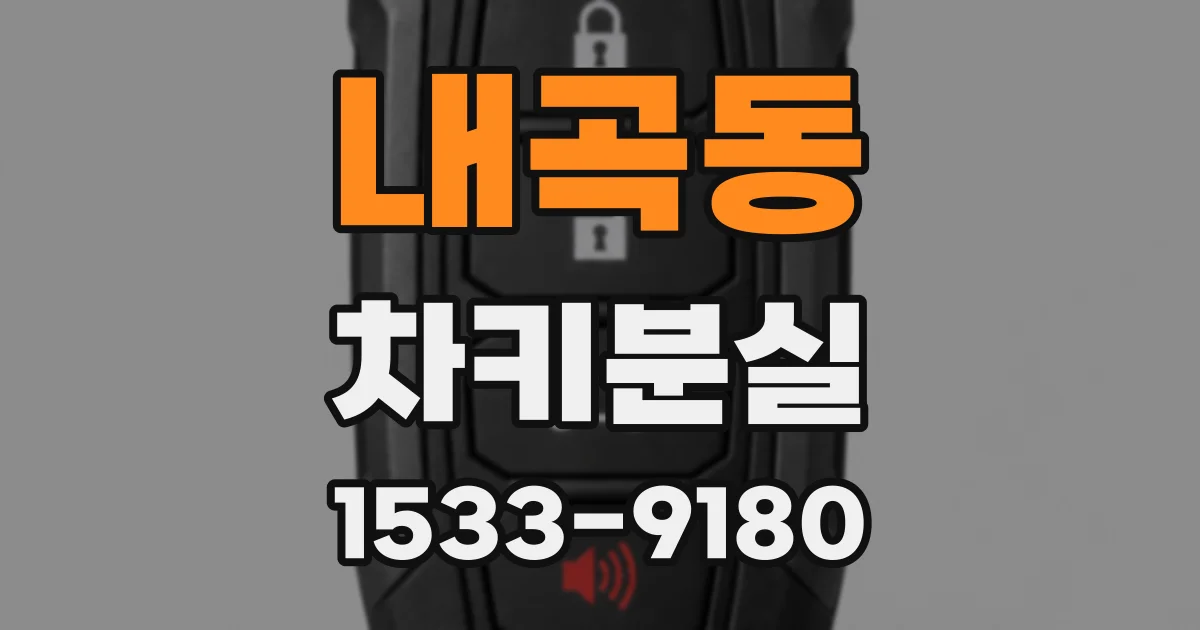 내곡동 차키분실