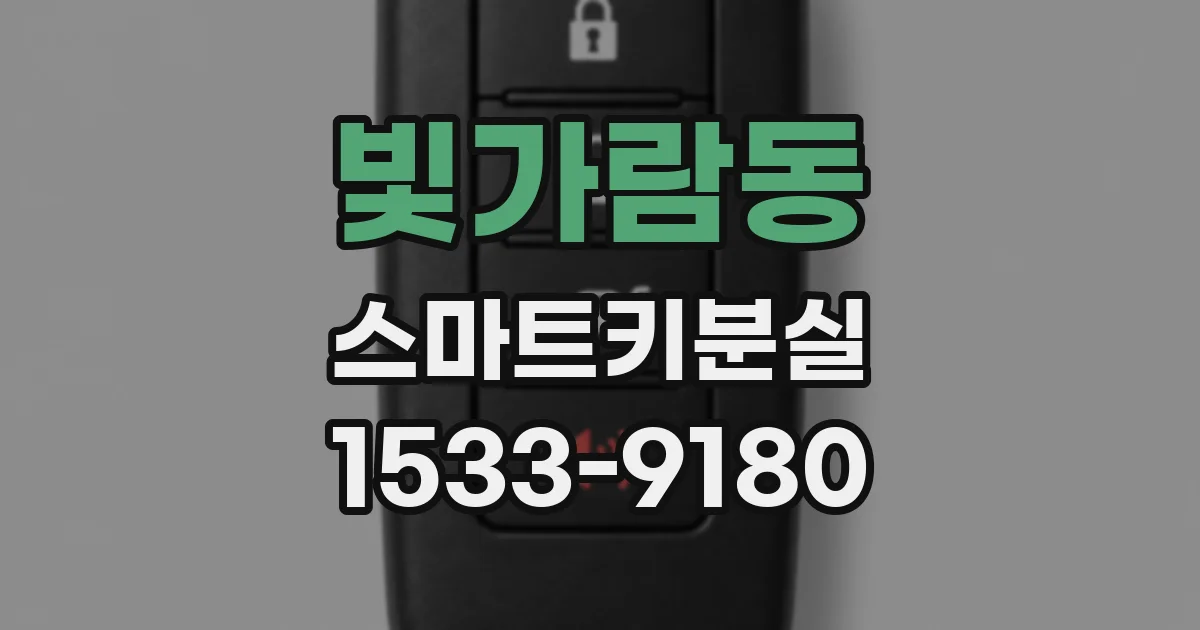 빛가람동 스마트키분실