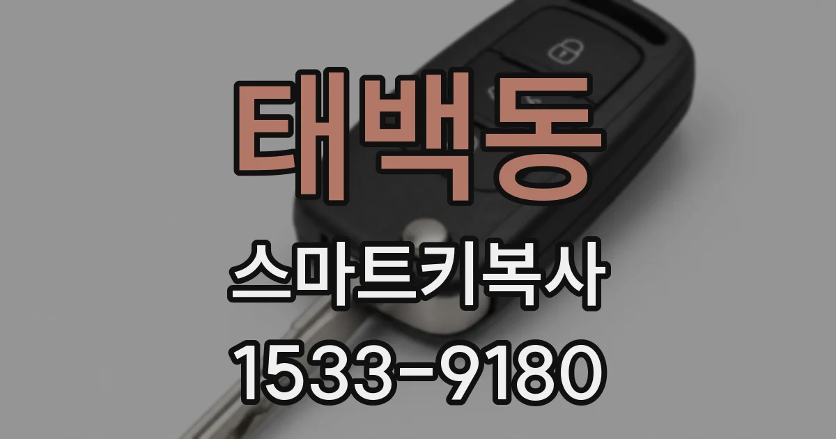 태백동 스마트키복사