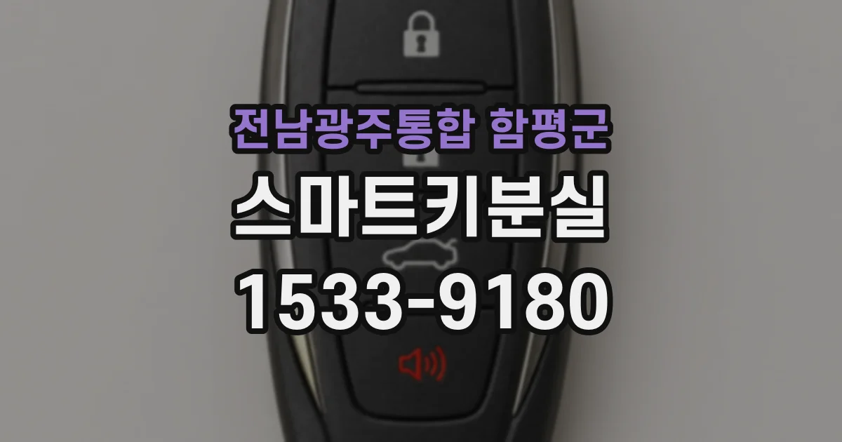 전남광주통합 함평군 스마트키분실