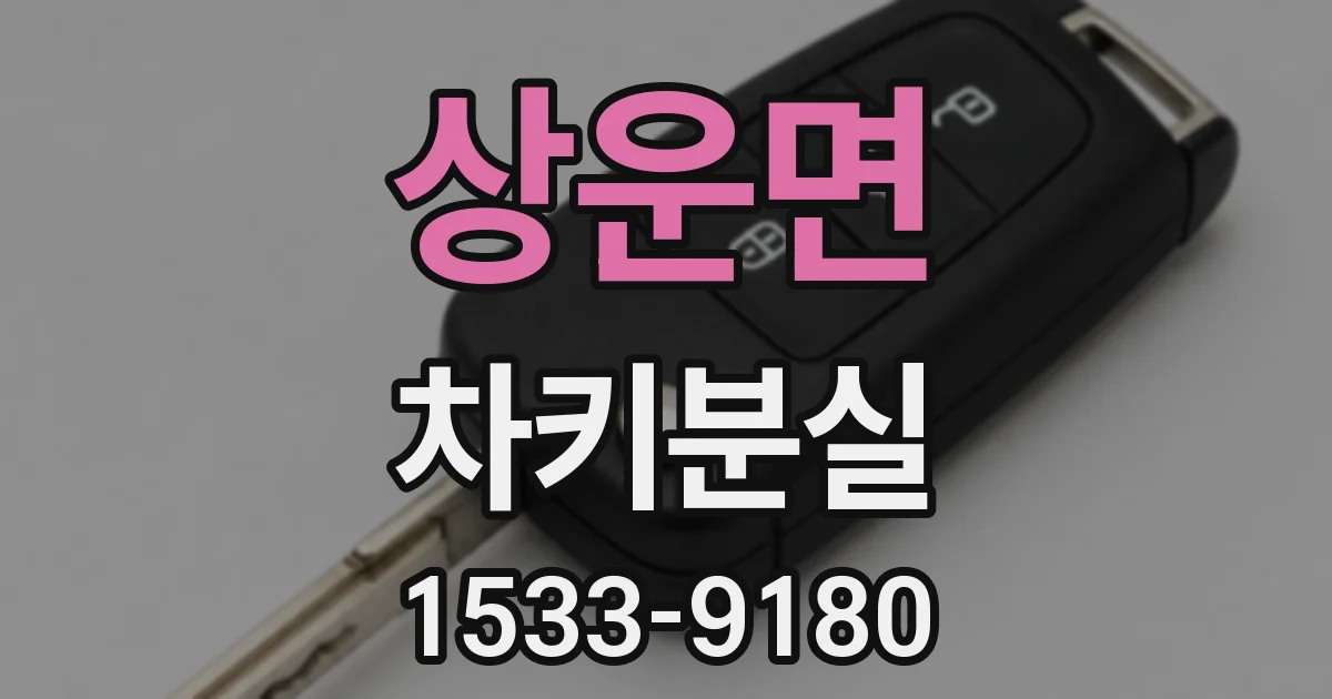 상운면 차키분실