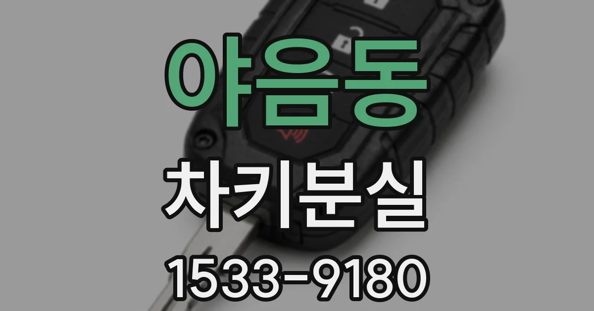 야음동 차키분실