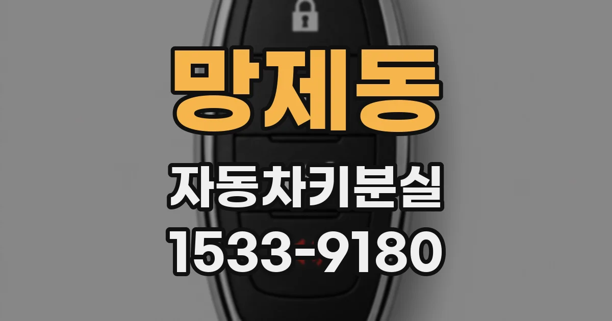 망제동 자동차키분실