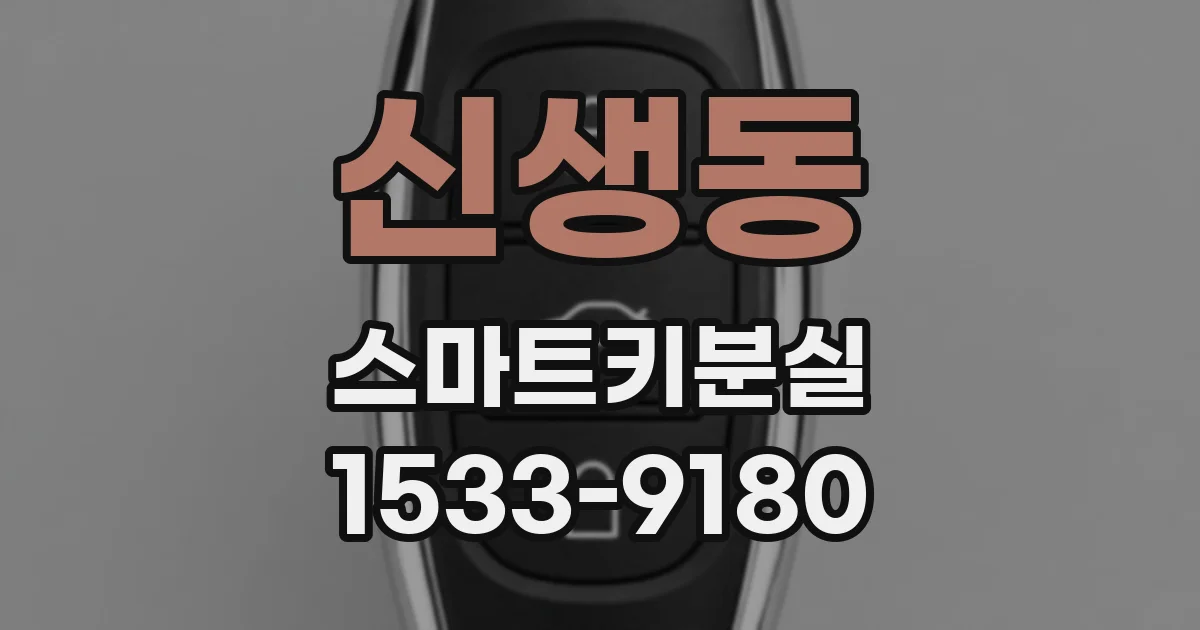 신생동 스마트키분실