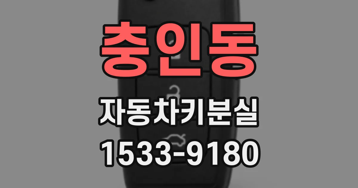 충인동 자동차키분실
