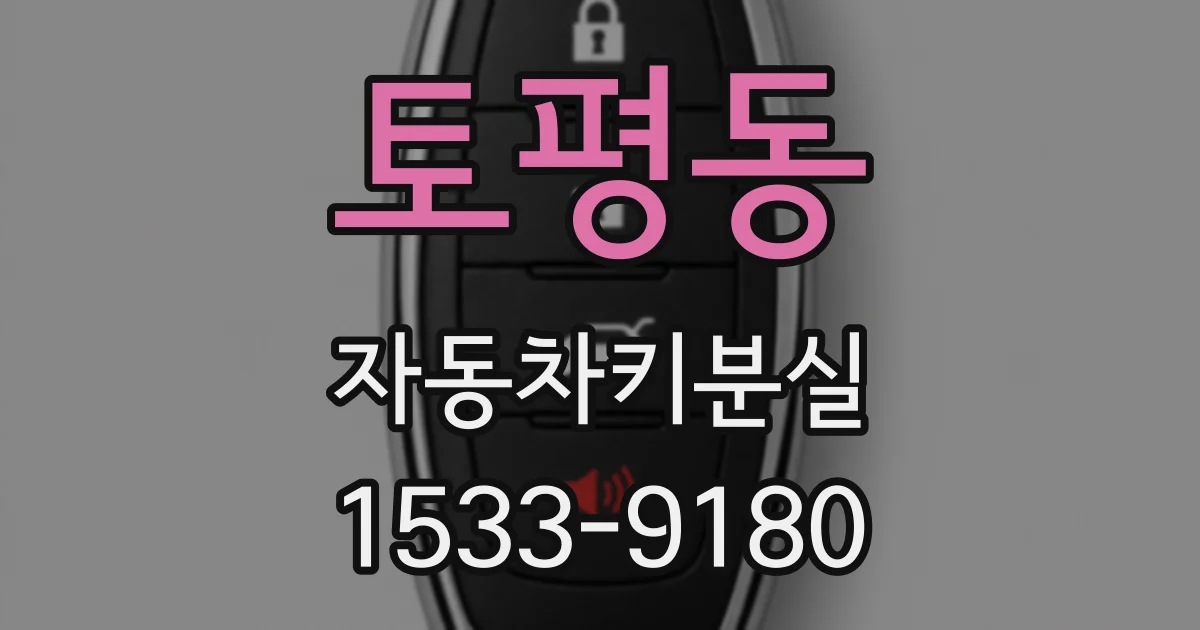 토평동 자동차키분실