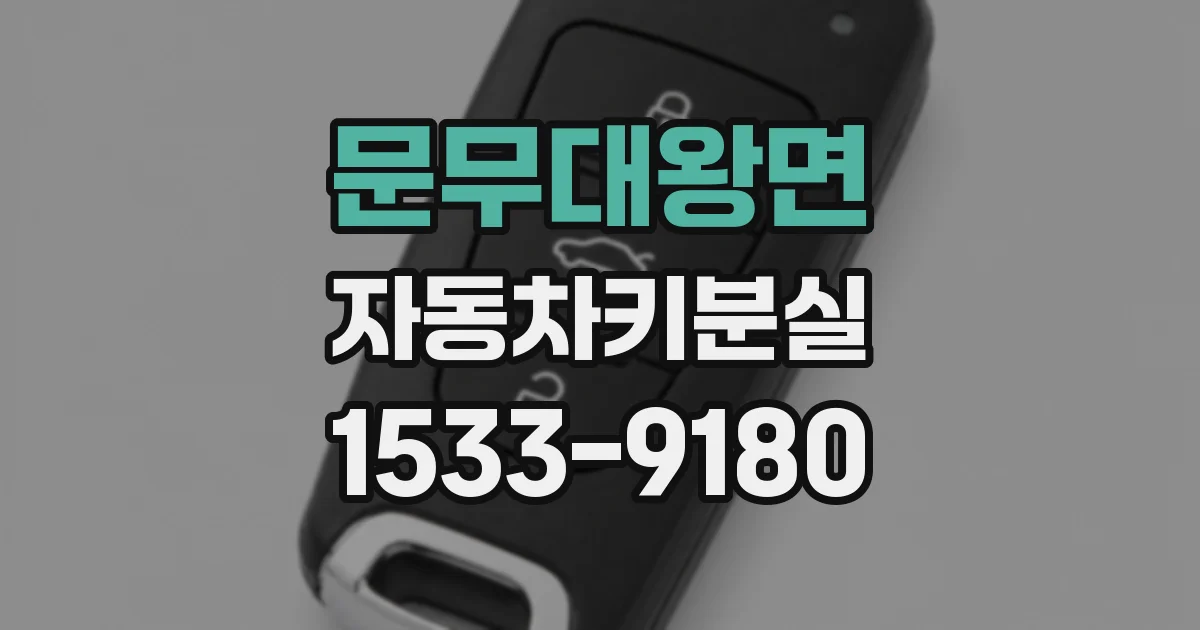 문무대왕면 자동차키분실