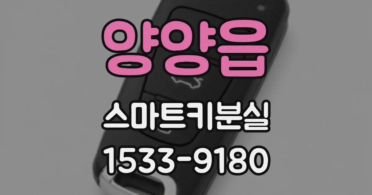 양양읍 스마트키분실