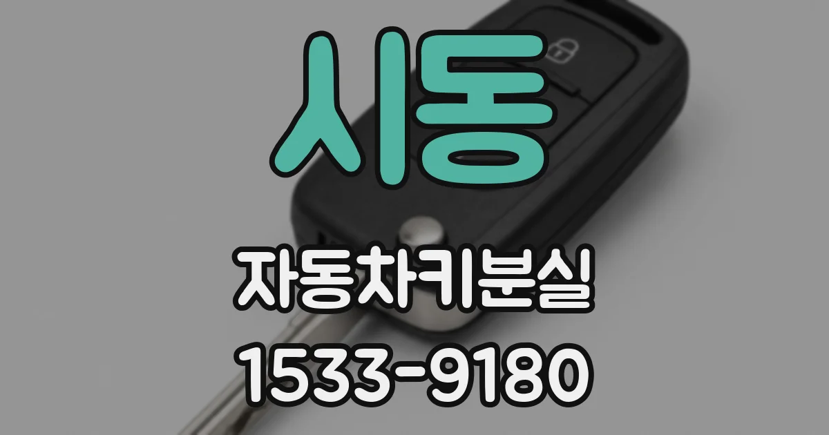 시동 자동차키분실
