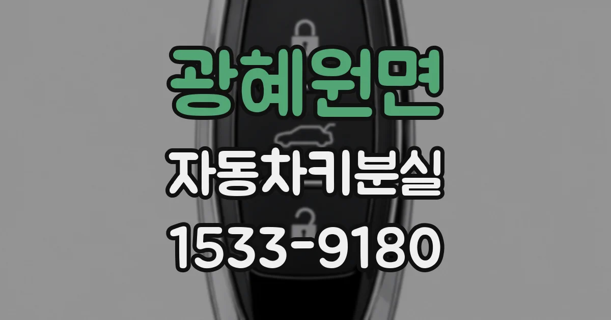 광혜원면 자동차키분실
