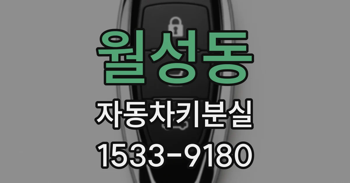 월성동 자동차키분실