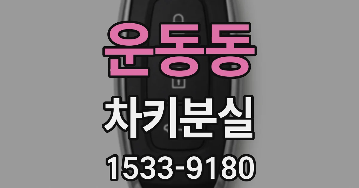 운동동 차키분실