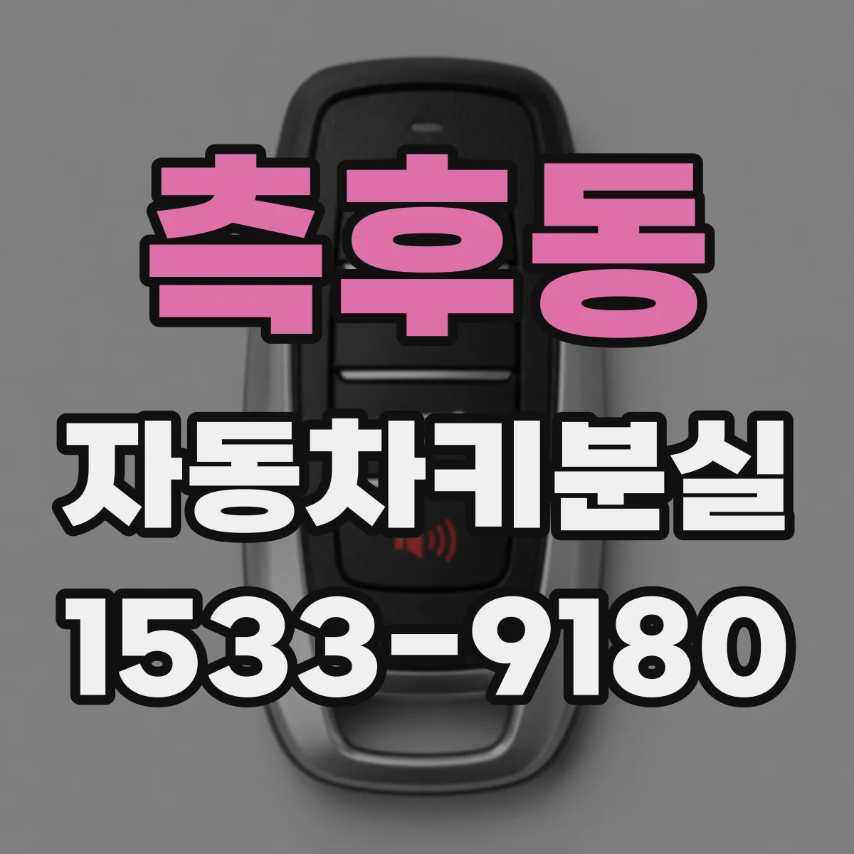 측후동 자동차키분실